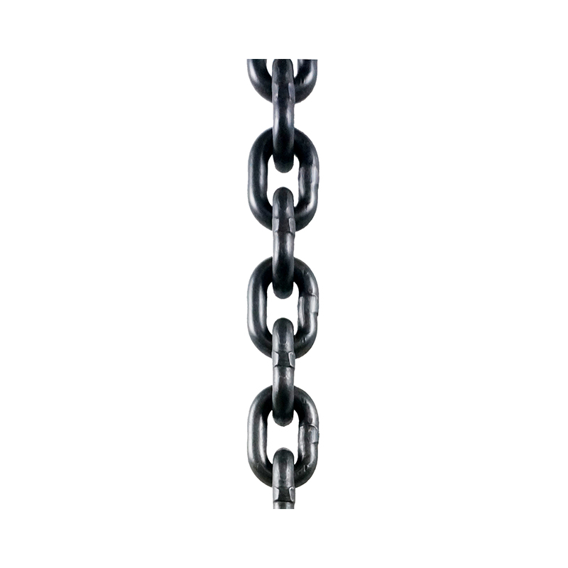 흑색산화체인 G100
